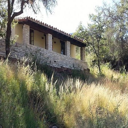Chisos Mountains Lodge Big Bend National Park Esterno foto